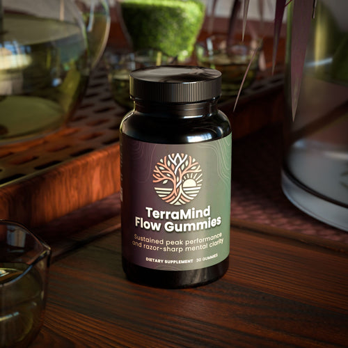 Cordyceps Energy Gummies — Clean Caffeine-Free Energy
